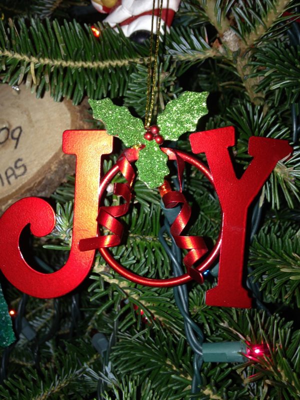 Article : Les retombées des fêtes de fin d’année: ils naîtront en Septembre