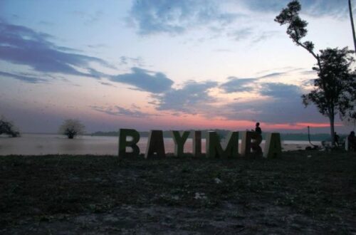Article : Le festival des arts Bayimba vivifie l’ile Lunkulu