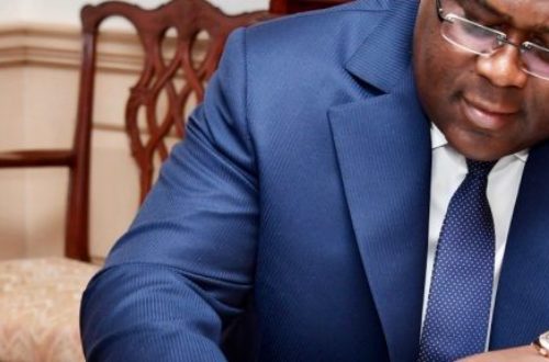 Article : Le président congolais a-t-il bluffé ou voudrait-il enrichir Tony Elumelu à l’insu de son plein gré ?