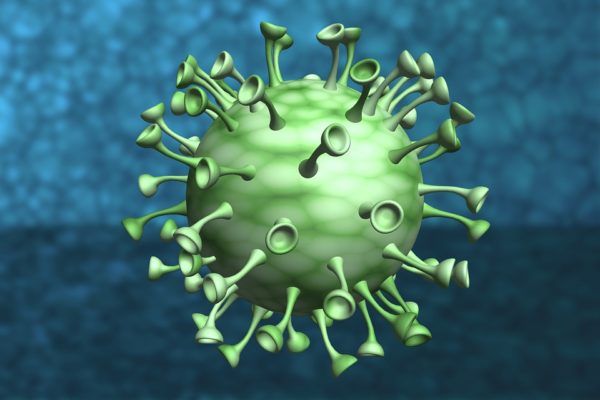 Article : Le coronavirus ou la résurrection de l’instinct bestial de l’homme